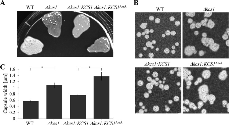 FIG 4 