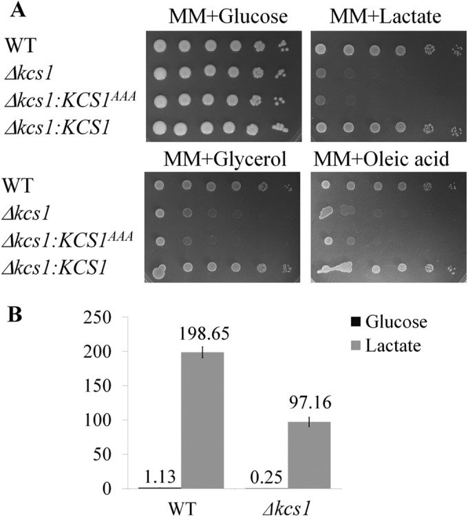 FIG 9 