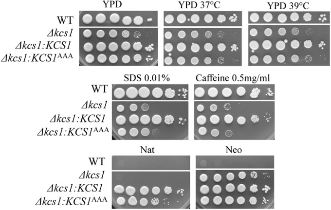 FIG 2 