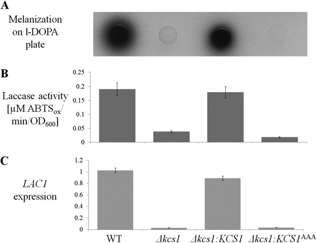 FIG 3 