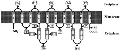 FIG. 3.