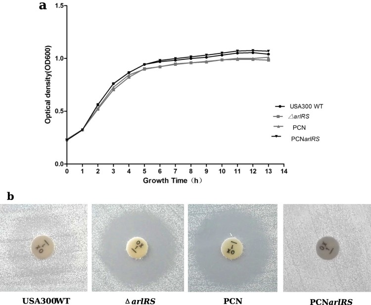 Figure 1.