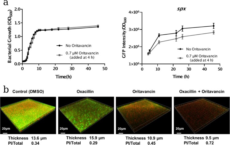 Figure 4.