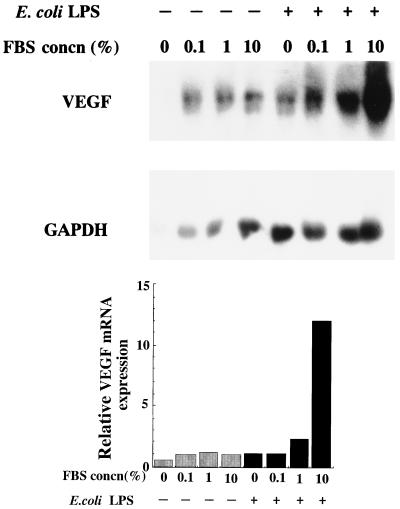 FIG. 6