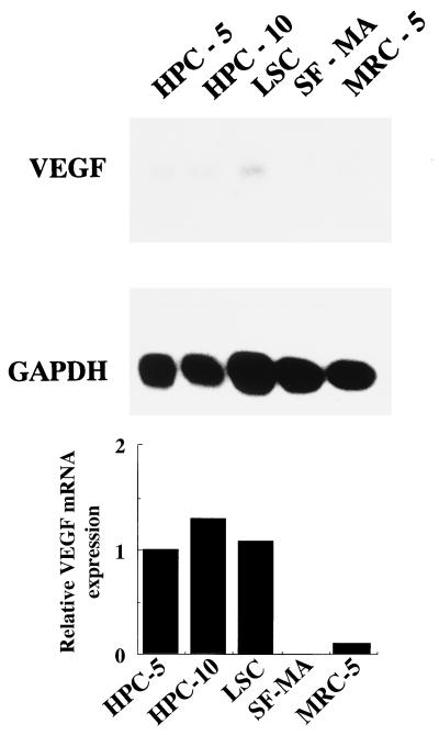 FIG. 5