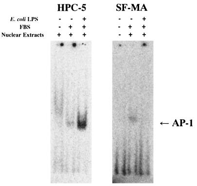 FIG. 9