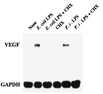 FIG. 10