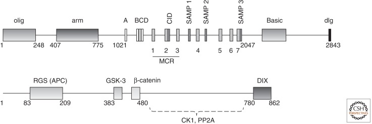 Figure 2.