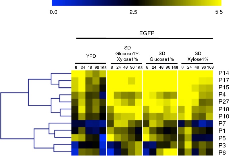 Fig. 2