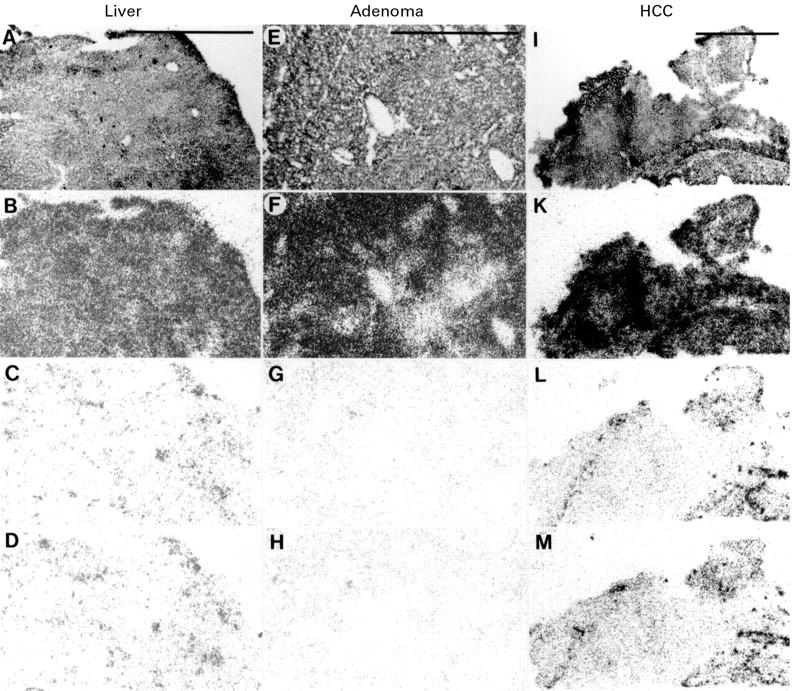 Figure 2  