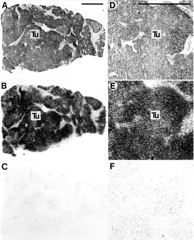 Figure 1  