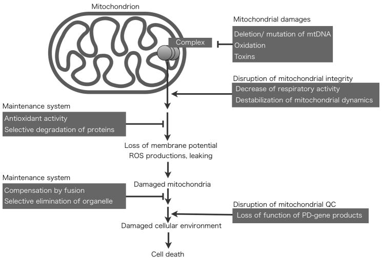 Fig 1