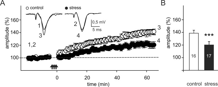 Fig 5