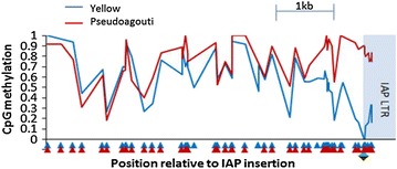 Fig. 2