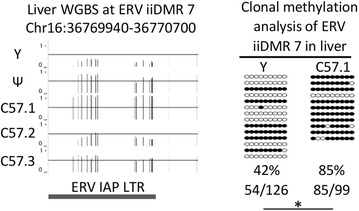 Fig. 4