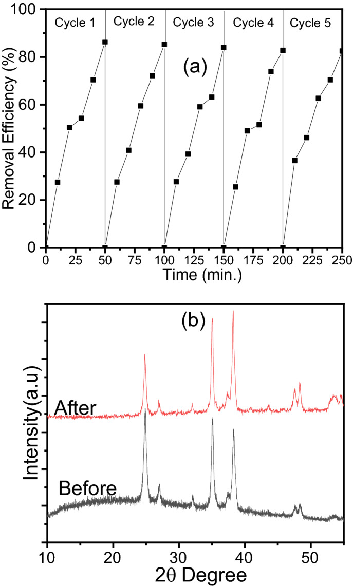 Figure 12