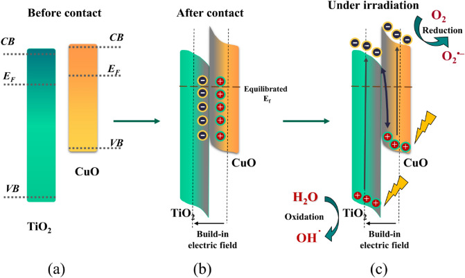 Figure 14