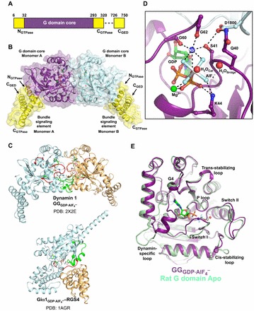 Fig. 4.