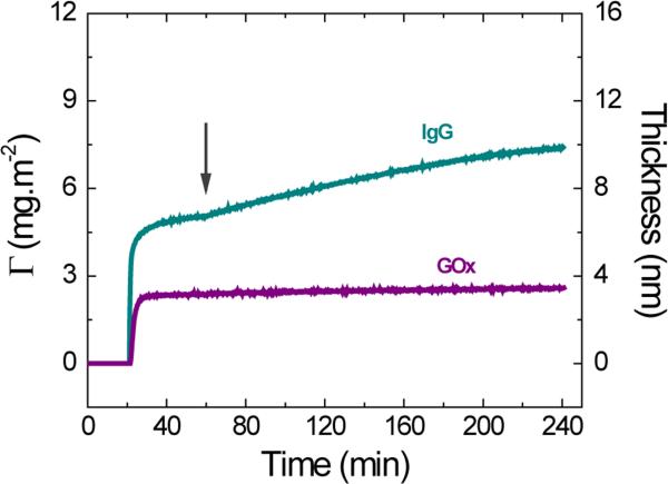 Figure 2B