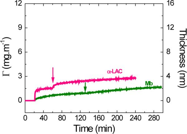 Figure 2A