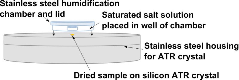 graphic file with name ASP_70_06_Rich_Peter_Supplemental_Mat_Fig_S1.jpg