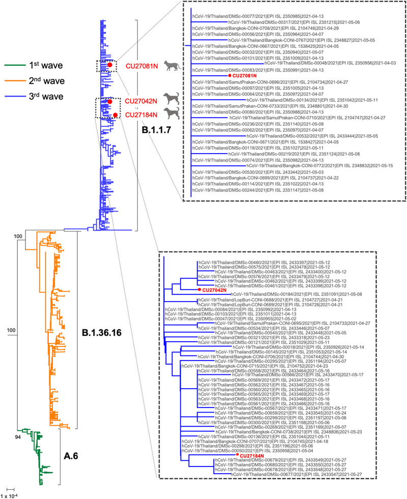 FIGURE 2