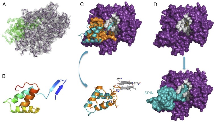 Fig. 2.