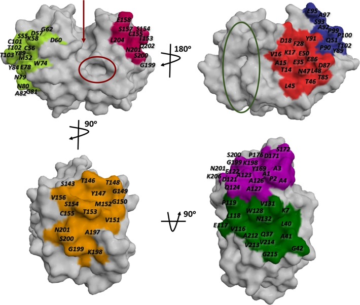 Fig 1