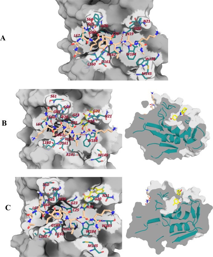 Fig 7