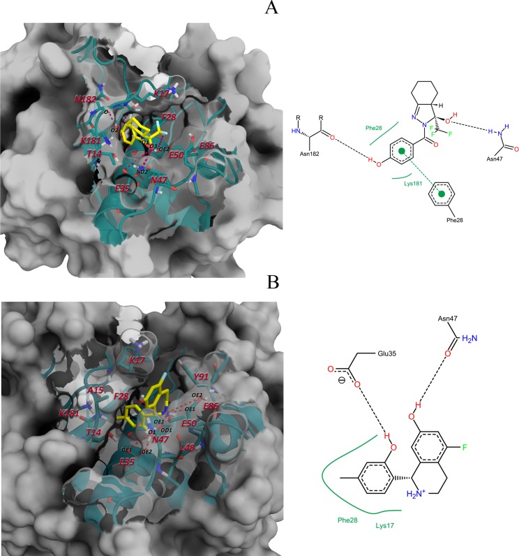 Fig 9