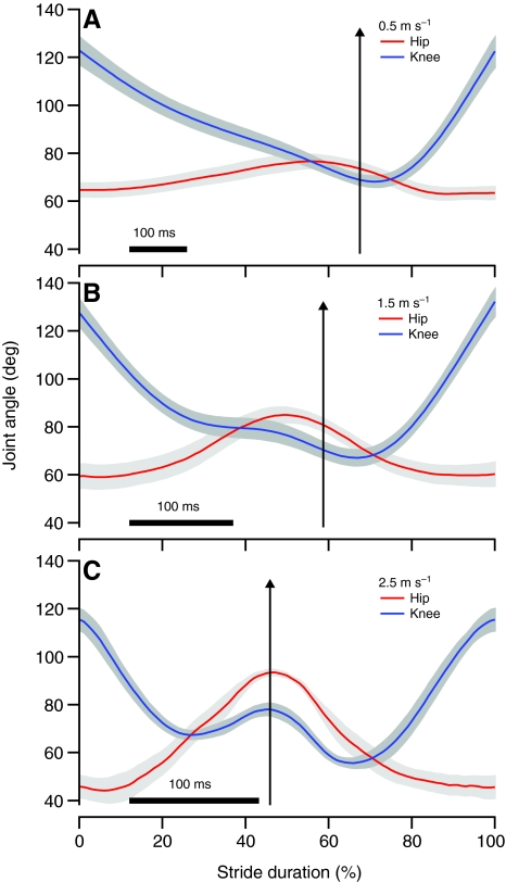 Fig. 8.