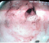 Fig.3