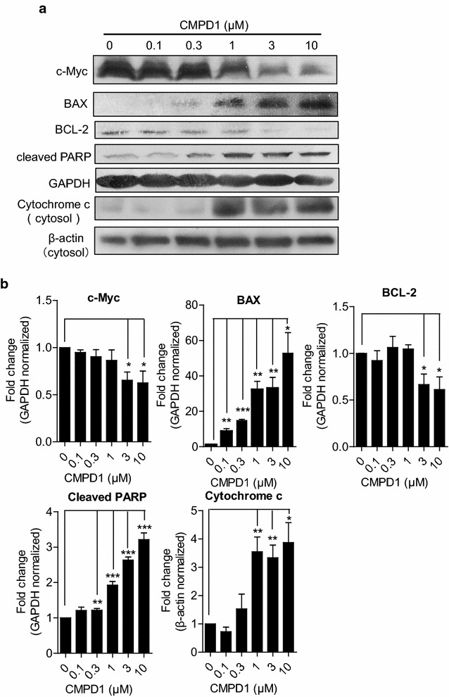 Fig. 3