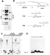 Fig. 1.