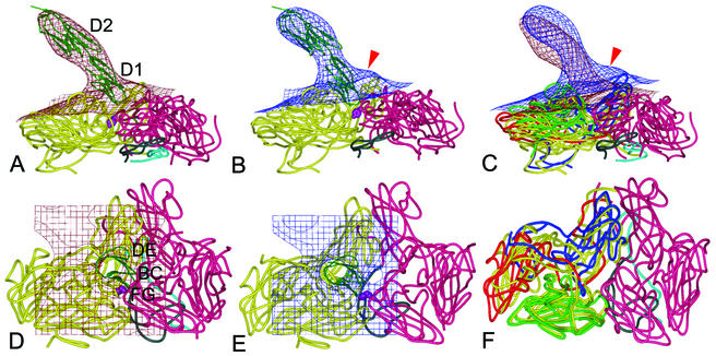 FIG. 5.