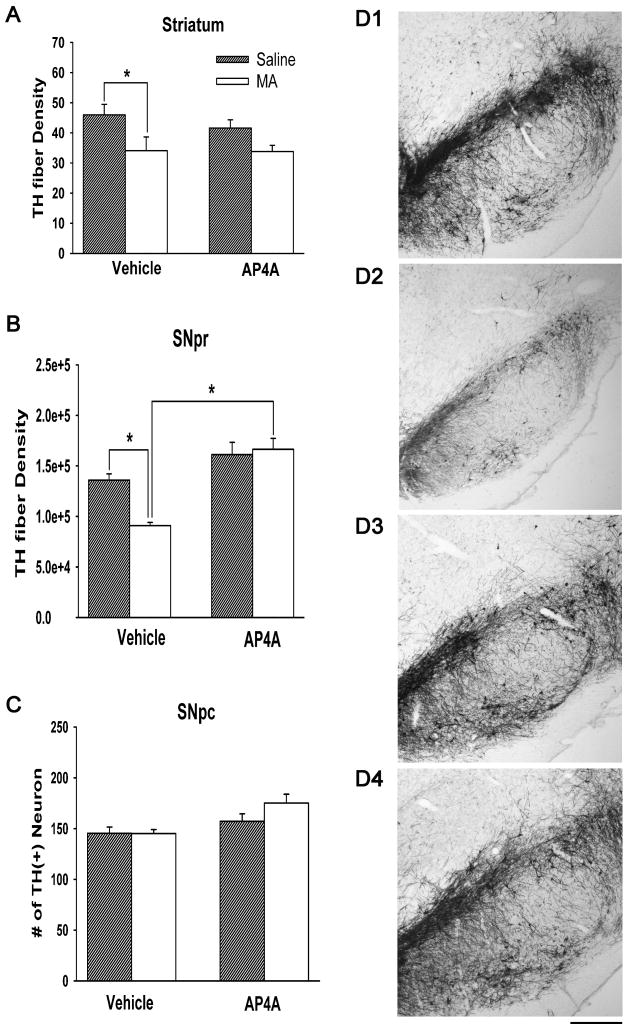 Fig 5