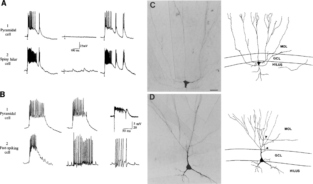 Fig. 5