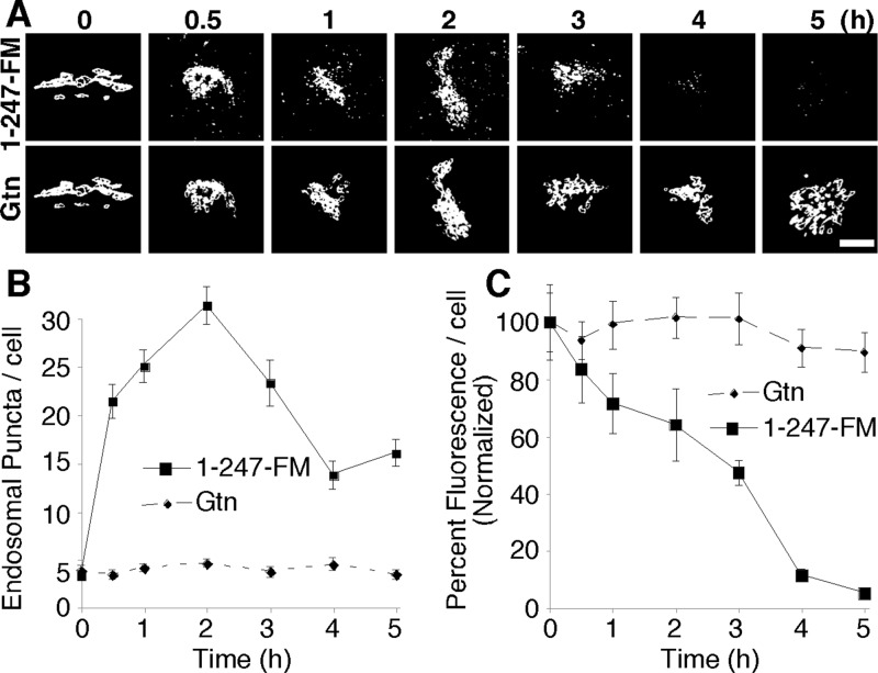 FIGURE 6: