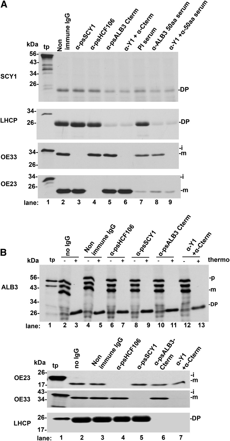 Figure 10.