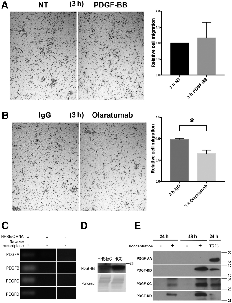 Figure 6