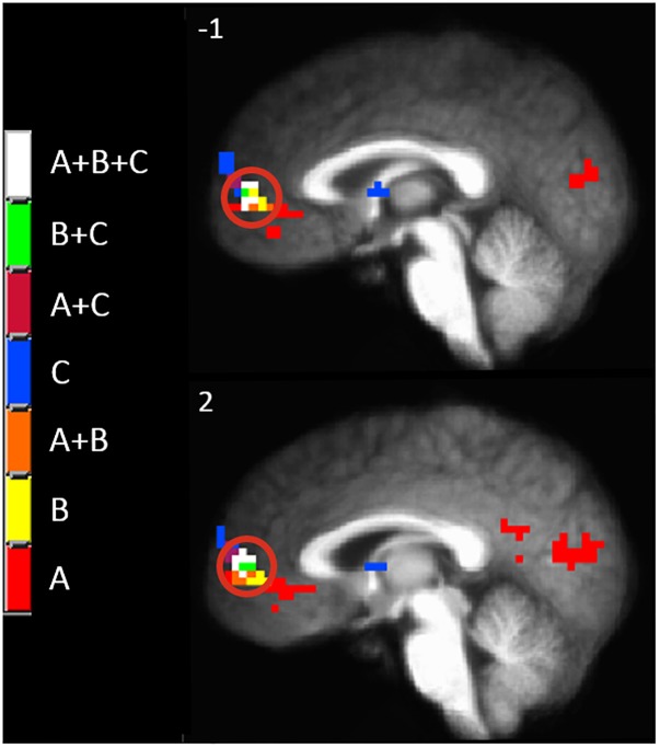 FIGURE 6