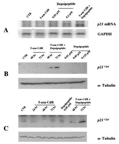 FIG. 7.