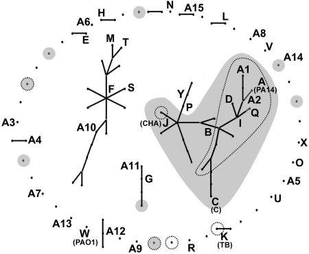 Fig. 4.