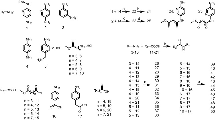 Scheme 2