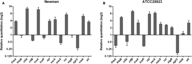 FIGURE 2