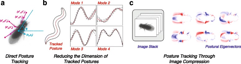 Fig. 3.