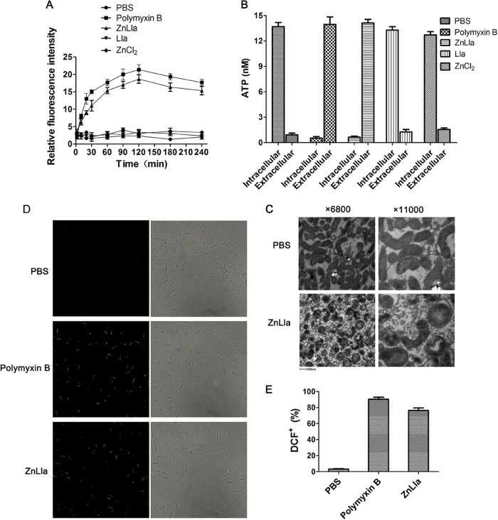 FIG 4