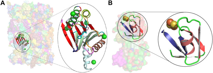 FIGURE 4