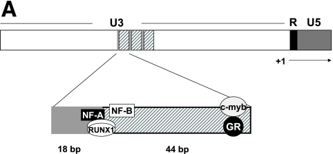 FIG. 2.