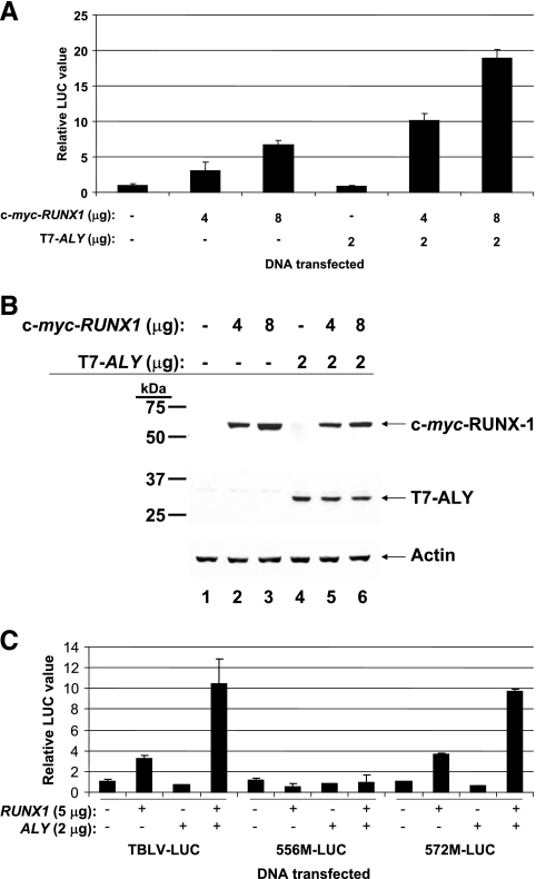 FIG. 5.